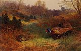 Archibald Thorburn Canvas Paintings - Autumn Sunshine